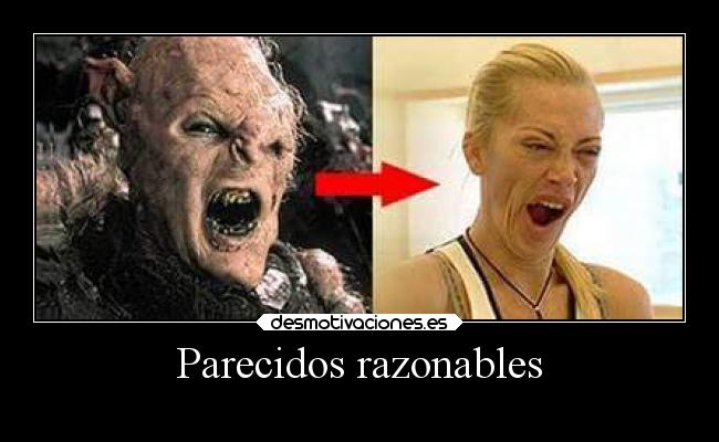 Parecidos razonables - 