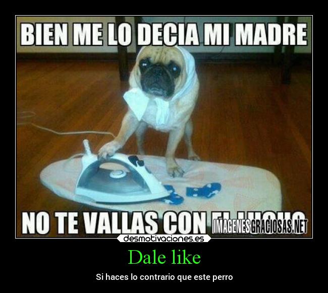 Dale like - 