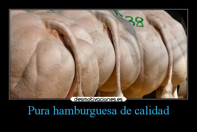 carteles comida humor vida clanebola betoasekas theendiscoming desmotivaciones