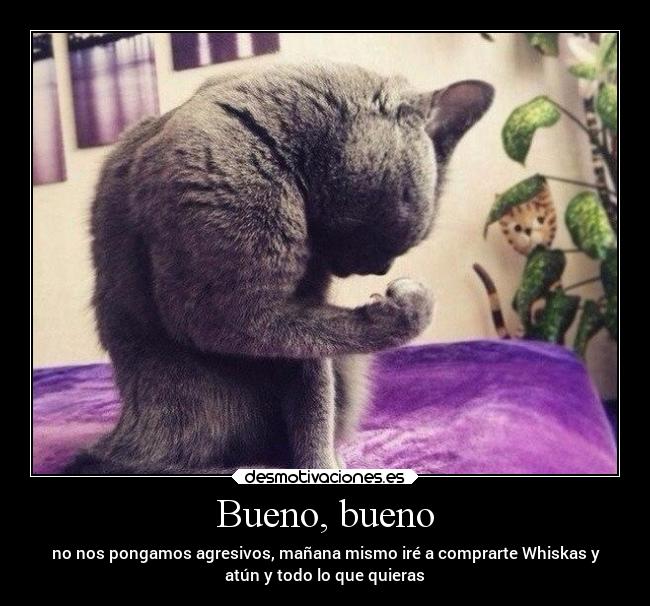 Bueno, bueno - no nos pongamos agresivos, mañana mismo iré a comprarte Whiskas y
atún y todo lo que quieras