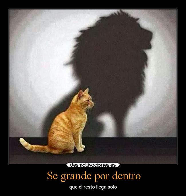 carteles confianza desmotivaciones