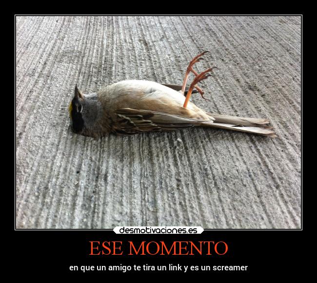 ESE MOMENTO - en que un amigo te tira un link y es un screamer
