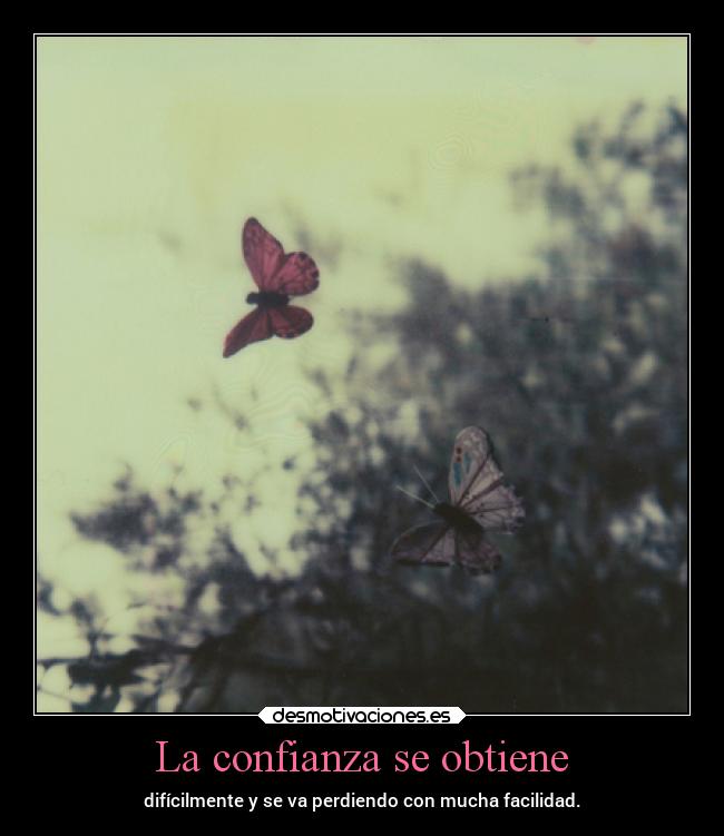 La confianza se obtiene - difícilmente y se va perdiendo con mucha facilidad.