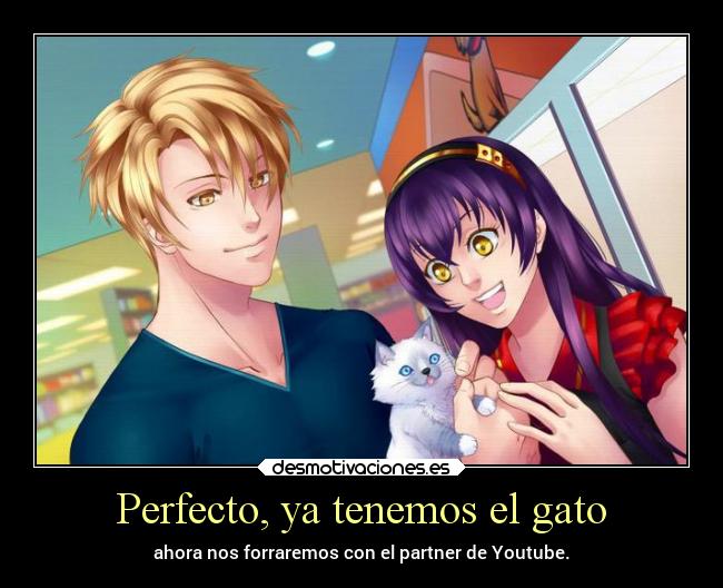 Perfecto, ya tenemos el gato - ahora nos forraremos con el partner de Youtube.