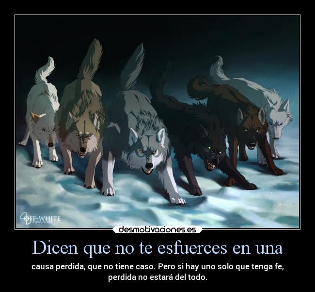 Dicen que no te esfuerces en una - causa perdida, que no tiene caso. Pero si hay uno solo que tenga fe,
perdida no estará del todo.