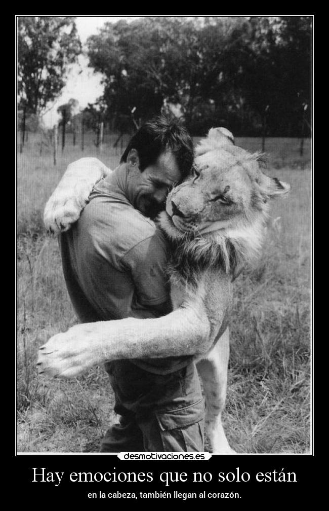 Hay emociones que no solo están - 