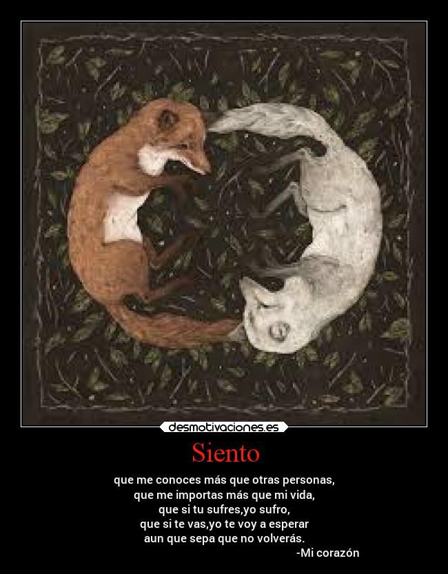 Siento - que me conoces más que otras personas,
que me importas más que mi vida,
que si tu sufres,yo sufro,
que si te vas,yo te voy a esperar
aun que sepa que no volverás.
-Mi corazón