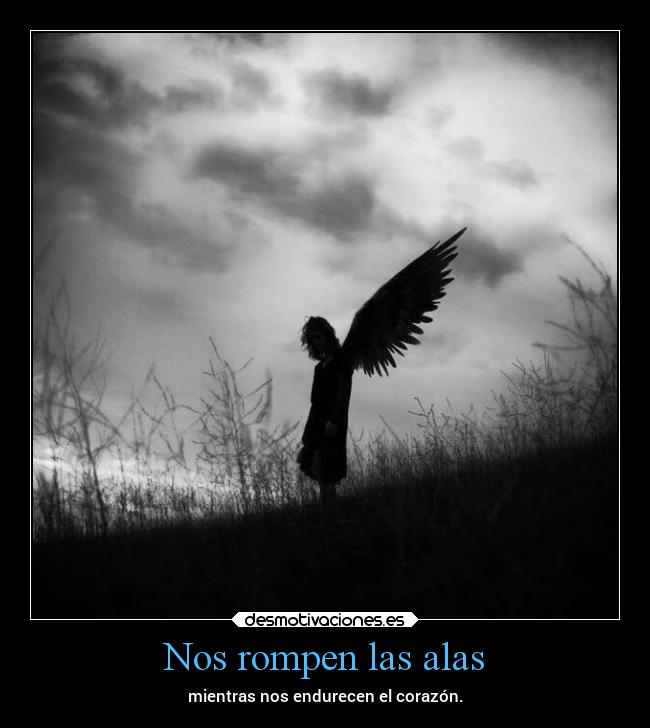 Nos rompen las alas - mientras nos endurecen el corazón.