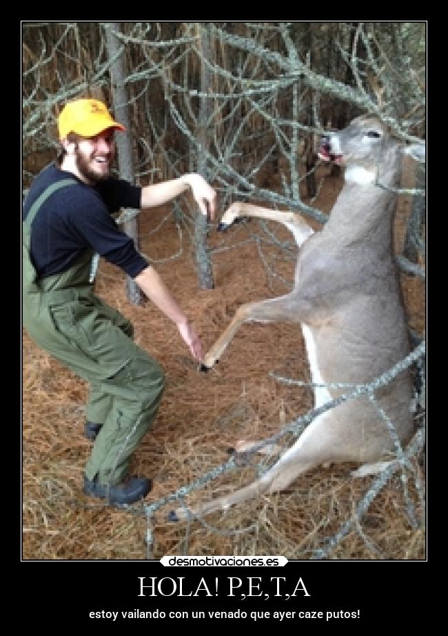 HOLA! P,E,T,A - estoy vailando con un venado que ayer caze putos!