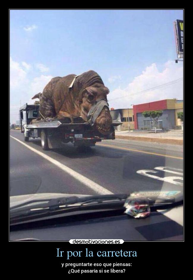 Ir por la carretera -