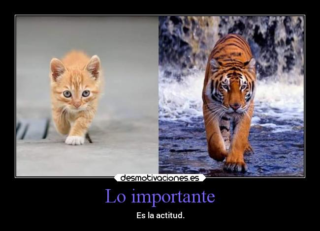 Lo importante -