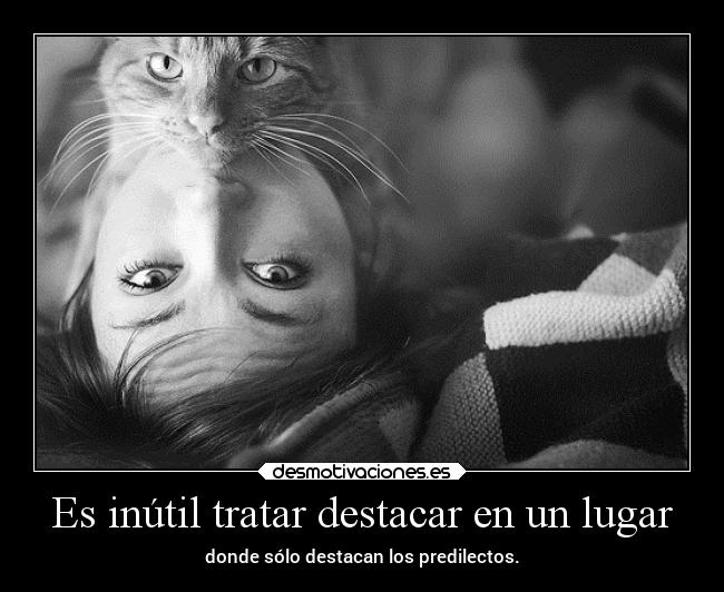 carteles desmotivaciones dedicacion ala pagina yala admin newera eternitaperduta desmotivaciones