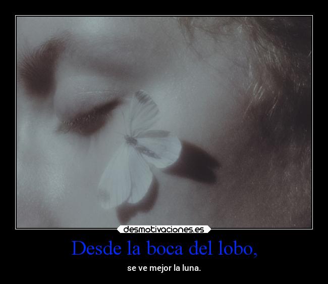 Desde la boca del lobo, -