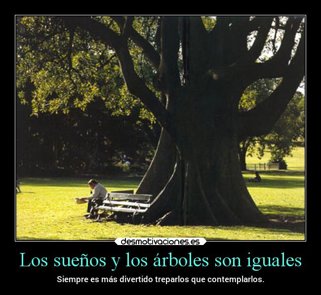 Los sueños y los árboles son iguales - Siempre es más divertido treparlos que contemplarlos.