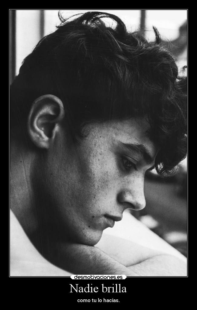 carteles desmotivaciones soyunidiotatm projectd rbk panda desmotivaciones