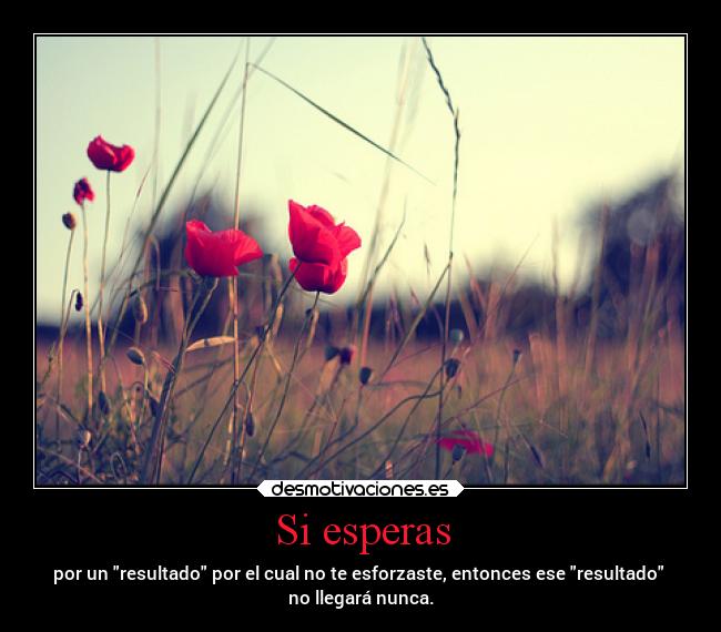Si esperas - por un resultado por el cual no te esforzaste, entonces ese resultado
no llegará nunca.