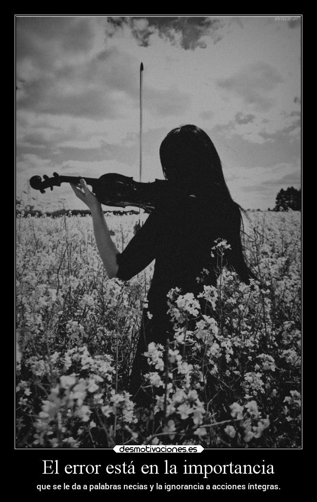 El error está en la importancia - 