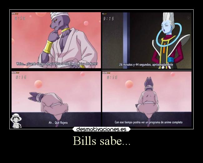 Bills sabe... - 