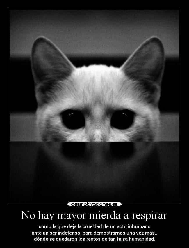 No hay mayor mierda a respirar -