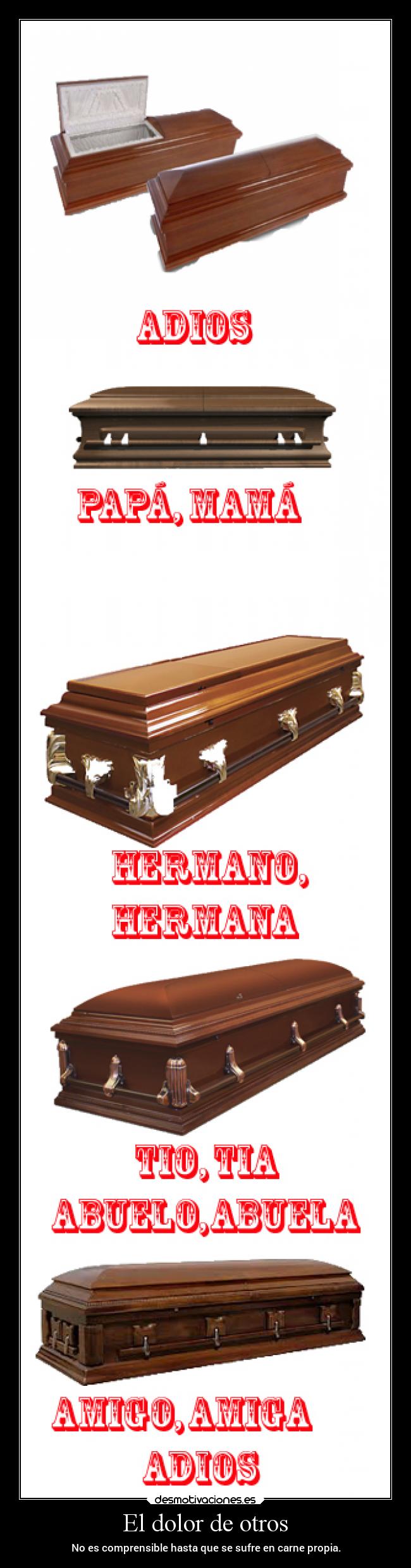 carteles dolor dolor desmotivaciones