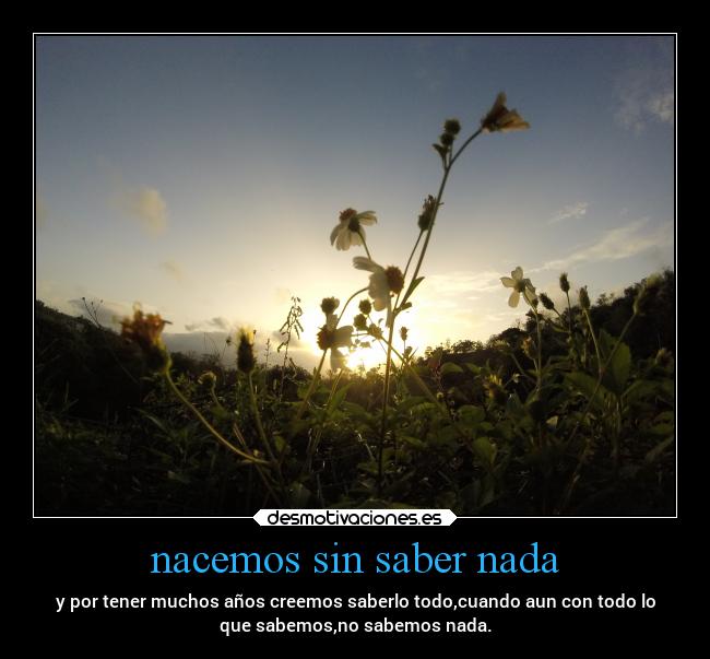 nacemos sin saber nada -