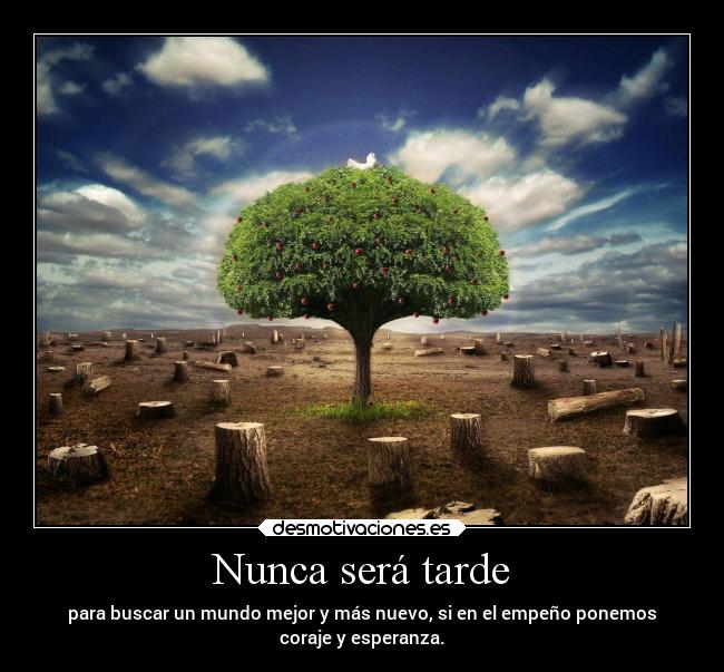 Nunca será tarde -