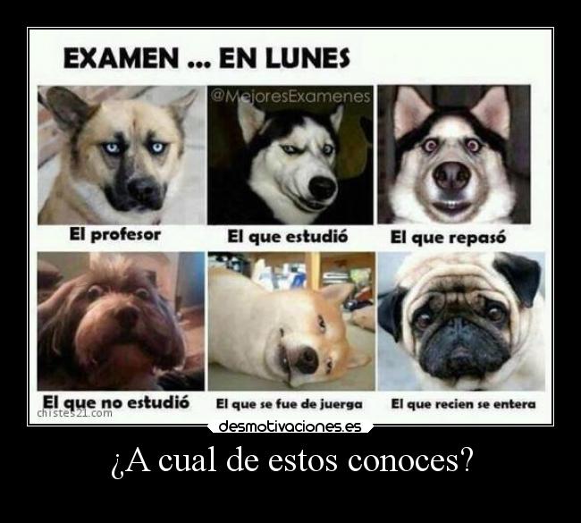 ¿A cual de estos conoces? -