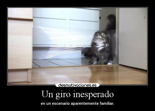 Un giro inesperado - en un escenario aparentemente familiar.