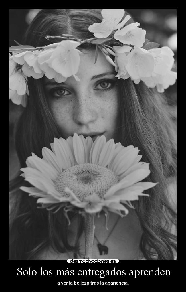 carteles frases belleza desmotivaciones