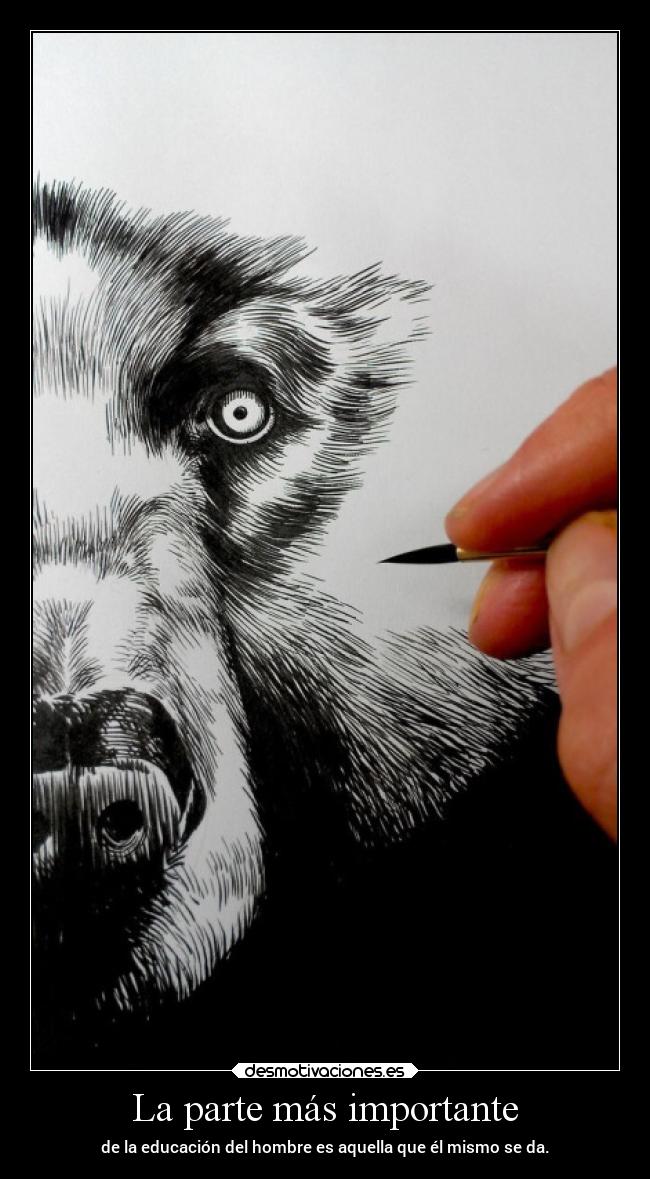 La parte más importante -