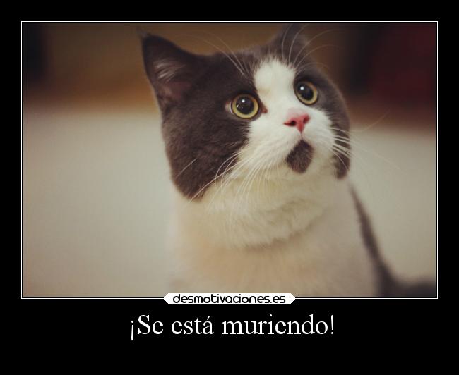 ¡Se está muriendo! -