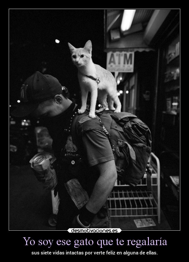 carteles gatos tumblr perfecterror suenos estrellas constelacionessubacuaticas holasoyeldiablo devilbrigade desmotivaciones