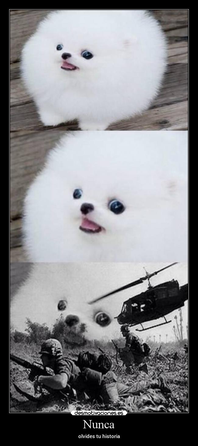 Nunca - olvides tu historia