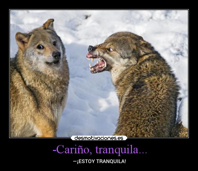 carteles humor desmotivaciones celos besos animales desmotivaciones