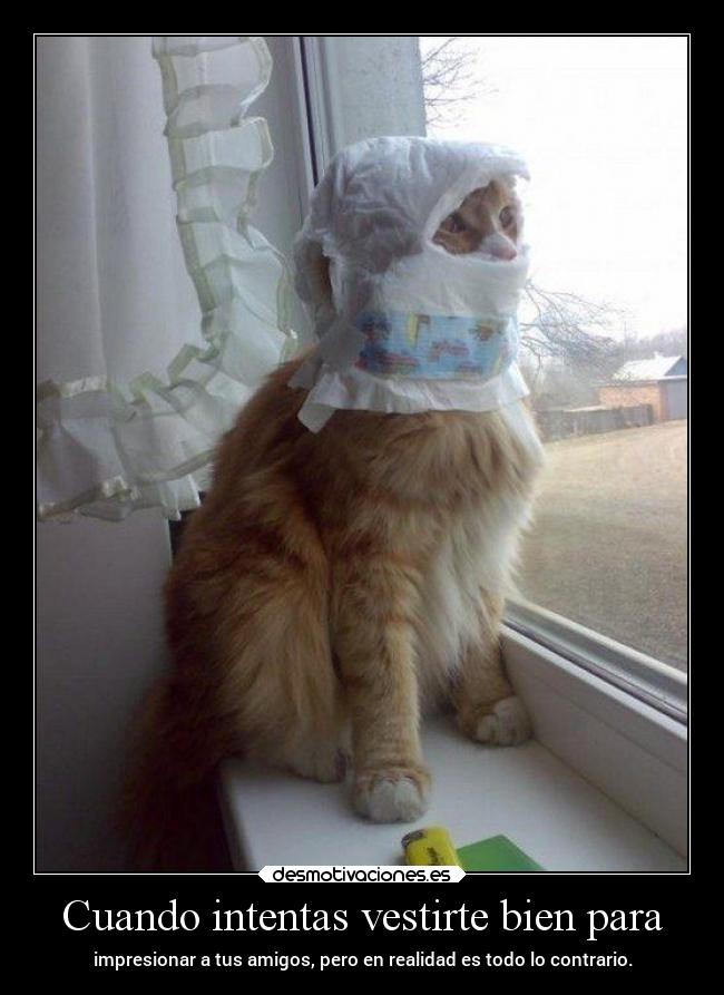 Cuando intentas vestirte bien para - 
