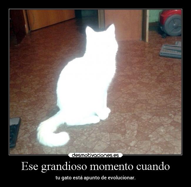 Ese grandioso momento cuando -