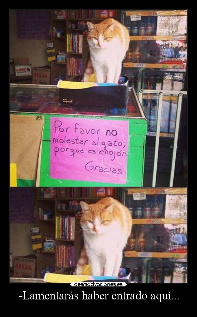 -Lamentarás haber entrado aquí... - 