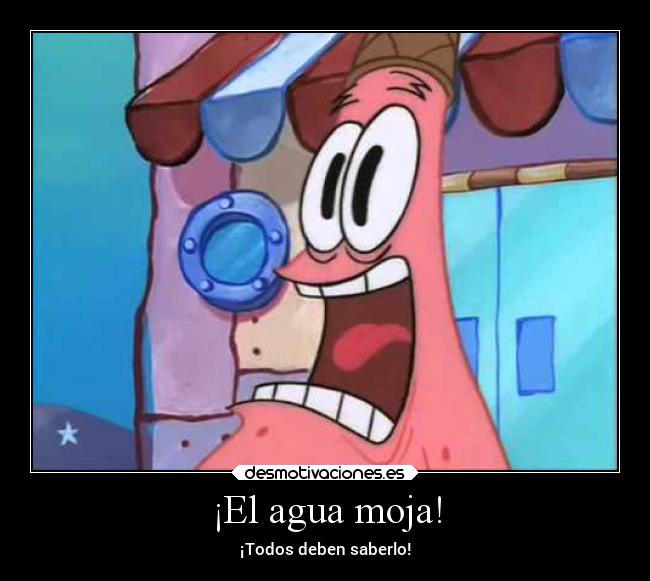 ¡El agua moja! -