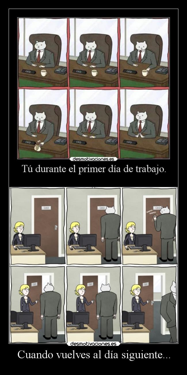 Cuando vuelves al día siguiente... -