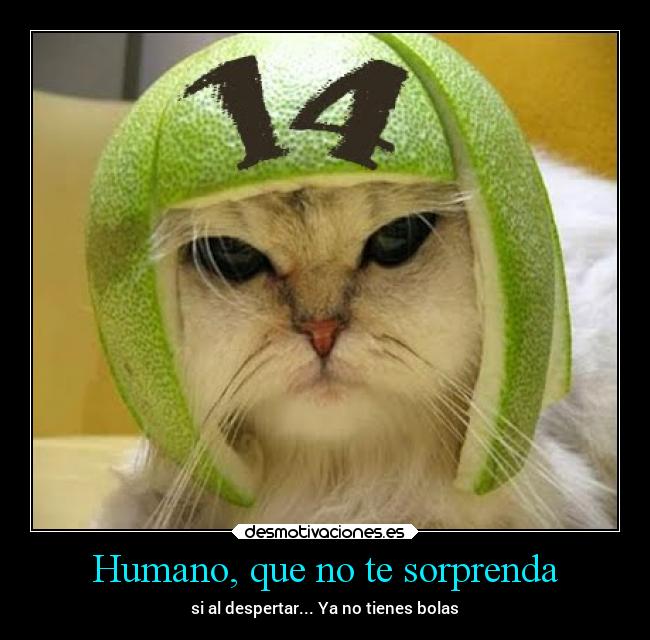 carteles humor vida clanebola betoasekas theendiscoming bolas maldad desmotivaciones