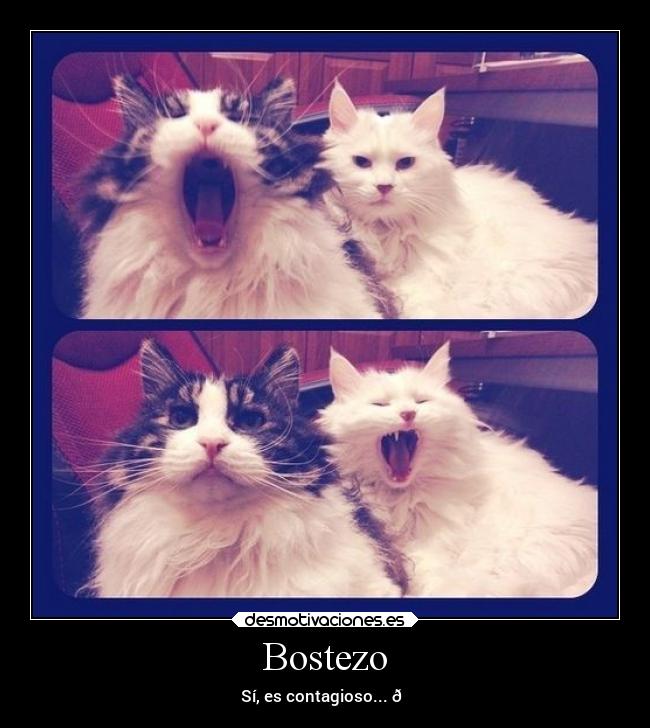 Bostezo - 