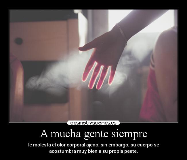 carteles ignorancia desmotivaciones miralapajaajena pendejo olor thinkwisely sevenxd echd alinyito desmotivaciones