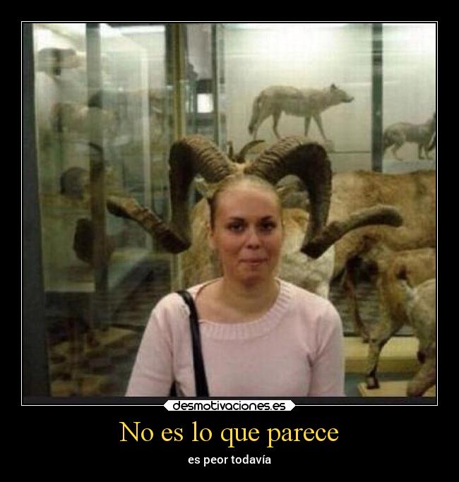 No es lo que parece -
