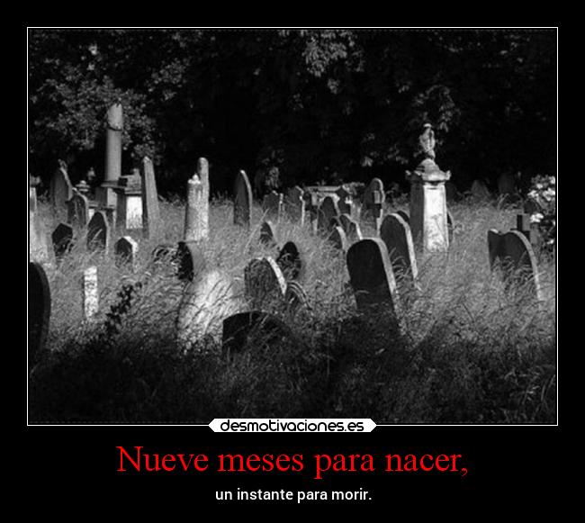 carteles imposible desmotivaciones desmotivaciones