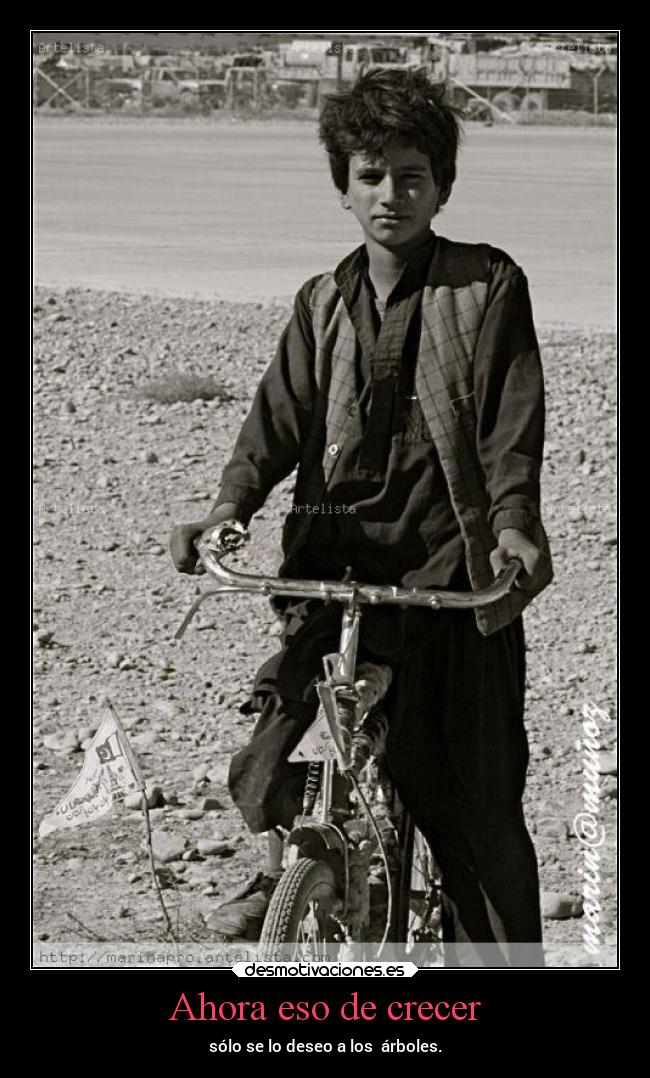 Ahora eso de crecer - sólo se lo deseo a los  árboles.