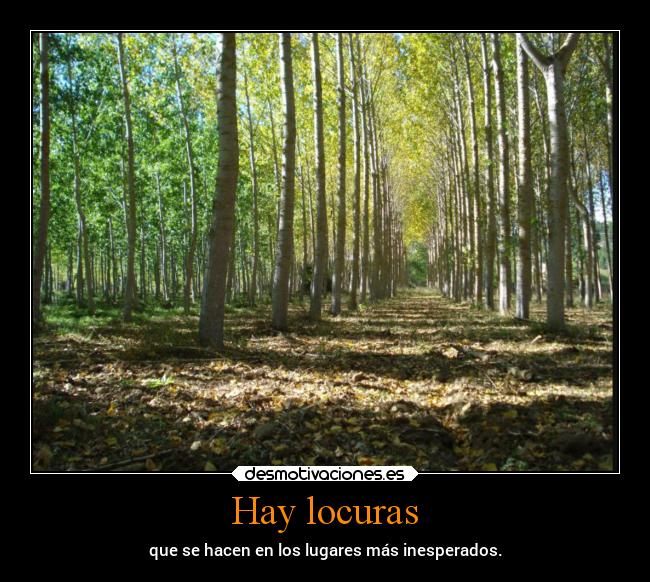 Hay locuras - 