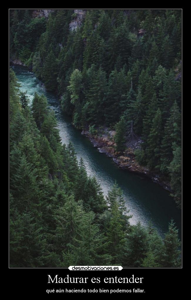 Madurar es entender - 