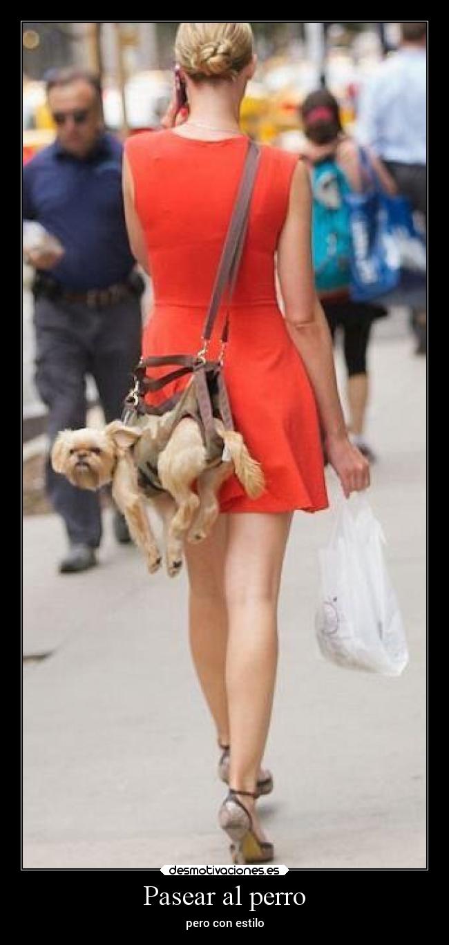 Pasear al perro - pero con estilo