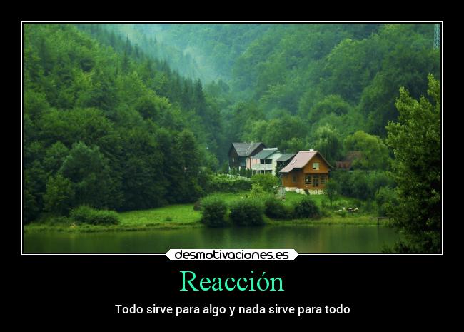 Reacción - Todo sirve para algo y nada sirve para todo