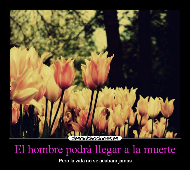 El hombre podrá llegar a la muerte - Pero la vida no se acabara jamas